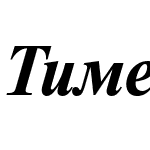 Times Roman Cirilica