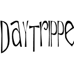 Daytripper