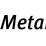 MetaPlus