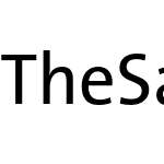 TheSans B5 Plain