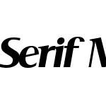 Serif Medium Italic