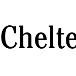 CheltenhamEF-BookCondensed