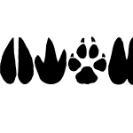 AnimalTracks