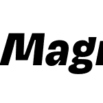 Magnet