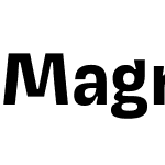 Magnet