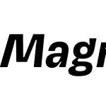 Magnet