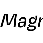 Magnet