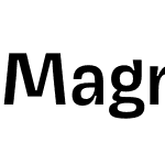 Magnet