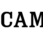 Cam