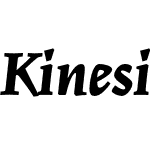 Kinesis Std Black