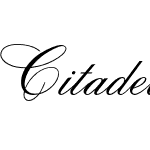 Citadel Script AT