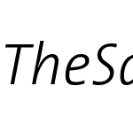 TheSans B3 Light