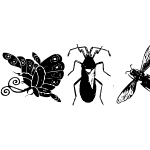 Insects1