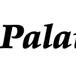 Palatino-Black