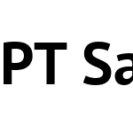 PT Sans Bold