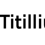 TitilliumText22L Rg