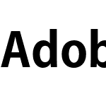 Adobe 고딕 Std B