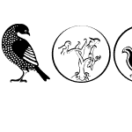 BirdSymbols