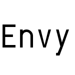 Envy Code R