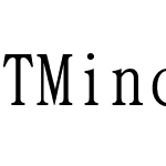 TMincho-GT04