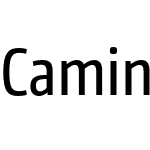 CamingoDos Pro Cd Regular