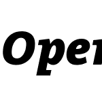 OpenSerifW07-BlackItalic