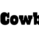 Cowboyslang