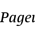 PagewalkerW03-Italic