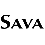 Sava Pro Light