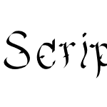 Scripty