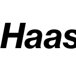 Haas Grot Text 55 Roman