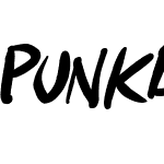 Punkboy