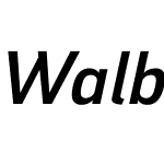 WalbaumGrotesk Book