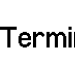 Terminal Grotesque