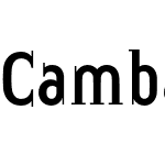 Cambalache Bold