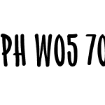 PHW05-700Cond