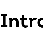 Intro Bold