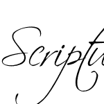 Scriptus