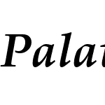 PalatinoLinotypeW05-BoldIt