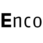 EncodeCondensed 300 Book