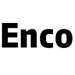 EncodeCompressed-Beta29 800 ExtraBold