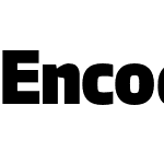 EncodeCompressed-Beta33 900 Black