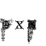 DXS Brussels Initials