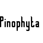 Pinophyta