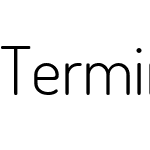 Terminal Dosis