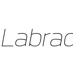 Labrador B Hairline Oblique