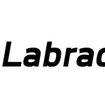 Labrador A Extrabold Oblique