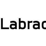 Labrador A Bold