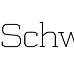 SchwagerW04-Thin