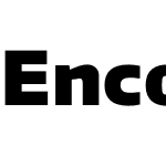 EncodeNormal-Beta55 900 Black